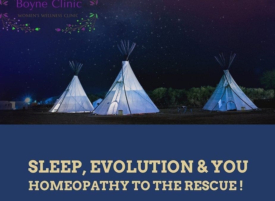 Sleep, Evolution, and You