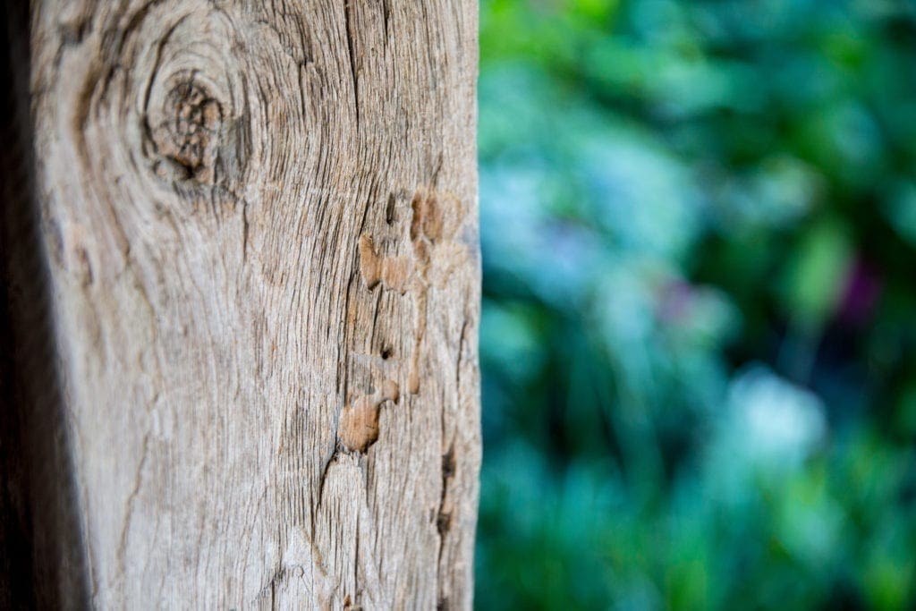 tree bark - natural menopause symptom relief boyne clinic